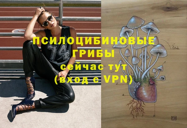 ALPHA PVP Балабаново