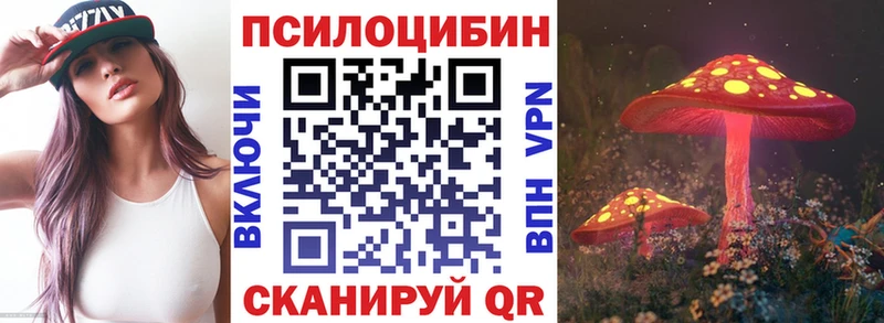 где купить наркоту  Тайшет  Псилоцибиновые грибы Magic Shrooms 